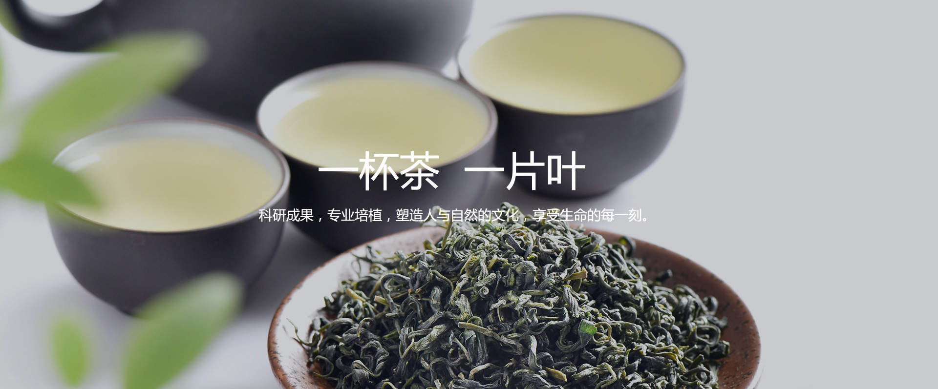 云恒网络