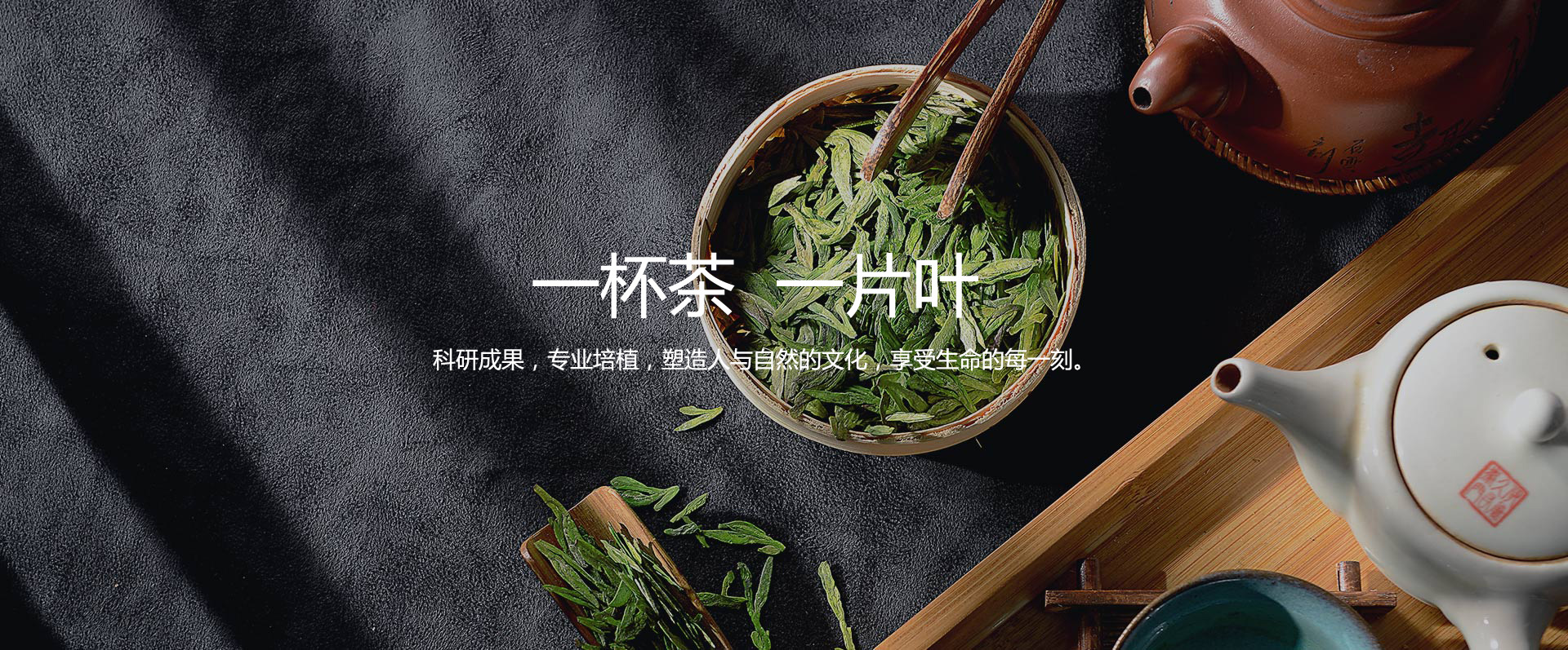 云恒网络
